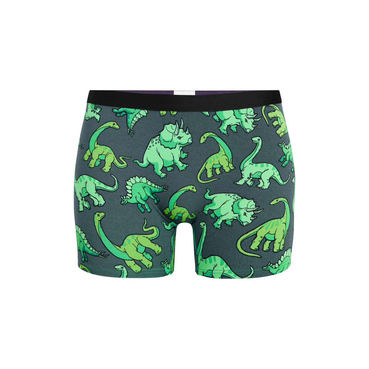 Boyshort | Dinos