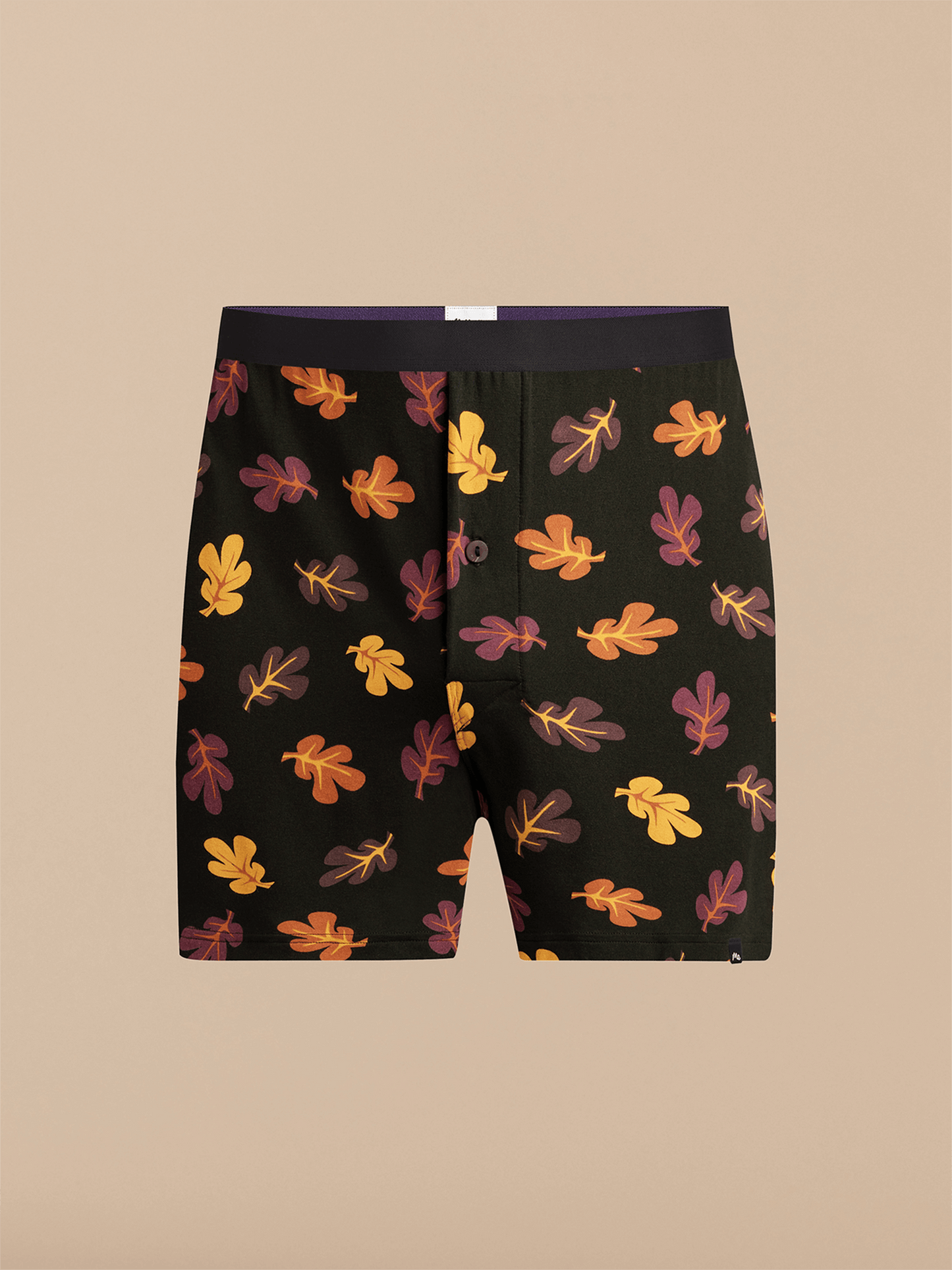 Boxer | Fall Leaves