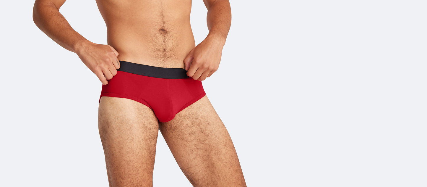 Brief | Goji Berry