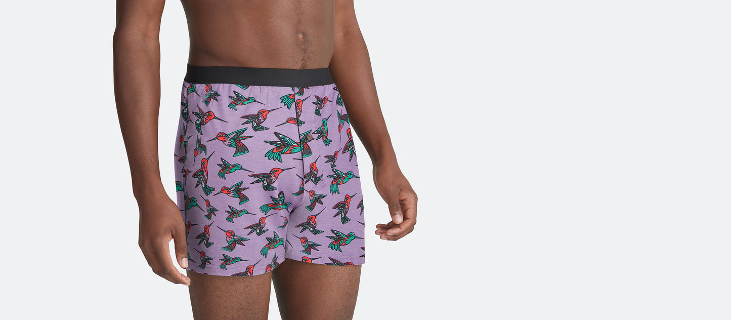 Boxer | Hummingbirds