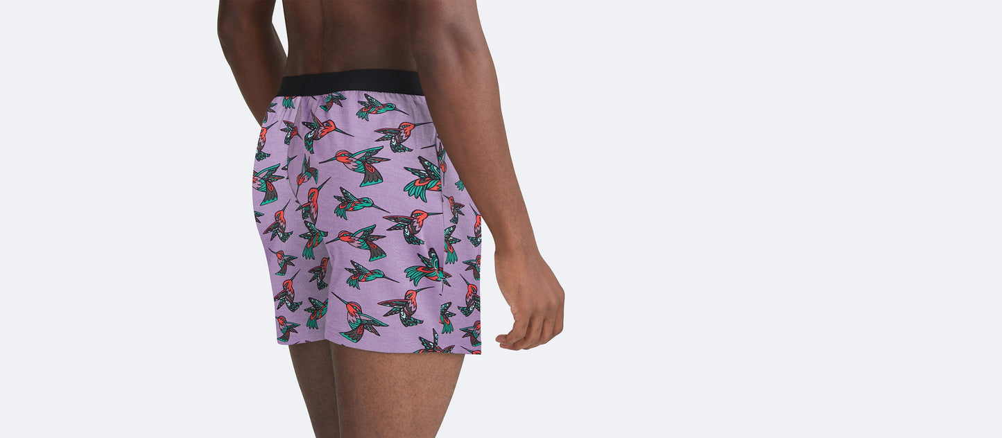 Boxer | Hummingbirds