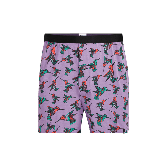 Boxer | Hummingbirds