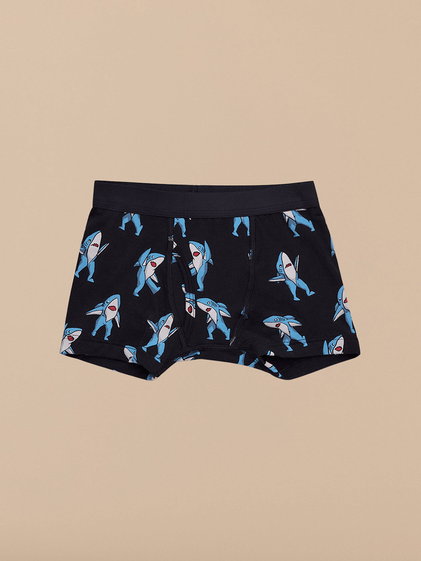 Boys Boxer Brief 6-Pack | Finn Stripe Pack