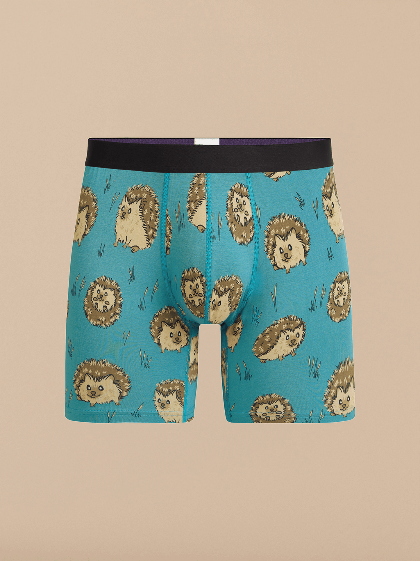 Boxer Brief | Hedgehogs