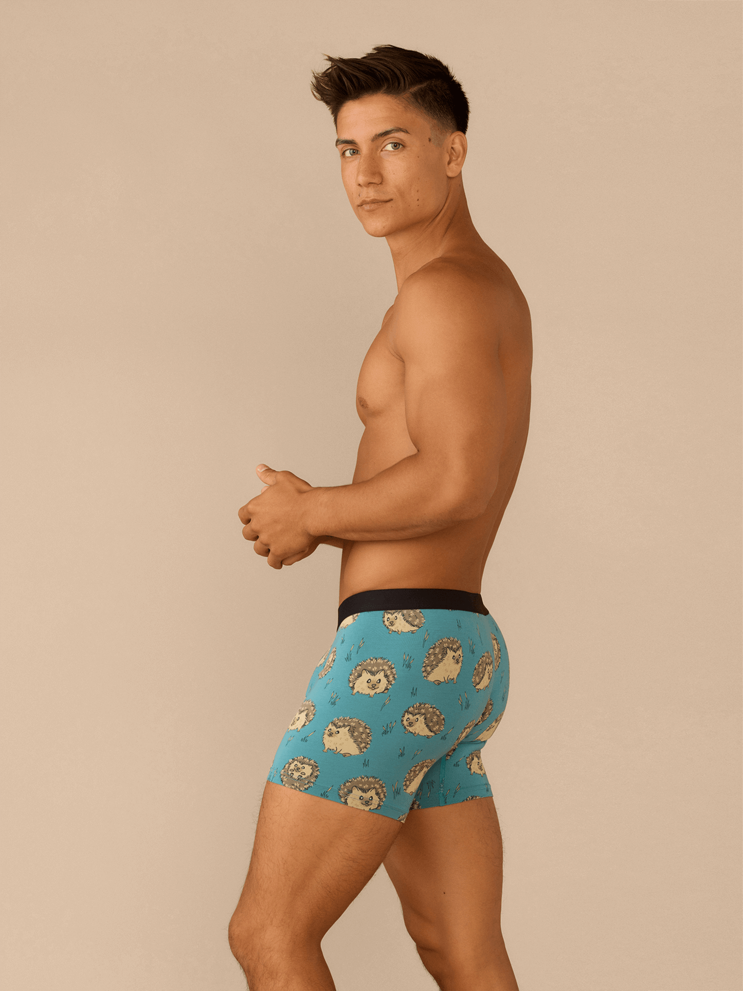 Boxer Brief | Hedgehogs