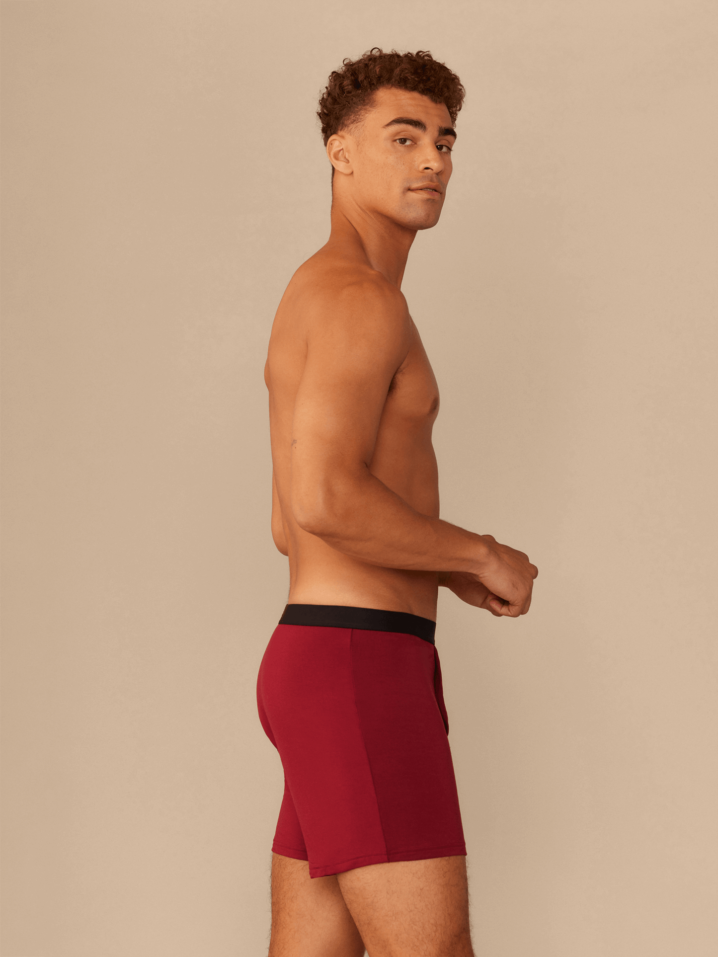 Boxer | Cabernet