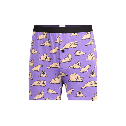 Boxer | Lazy Sea Lions