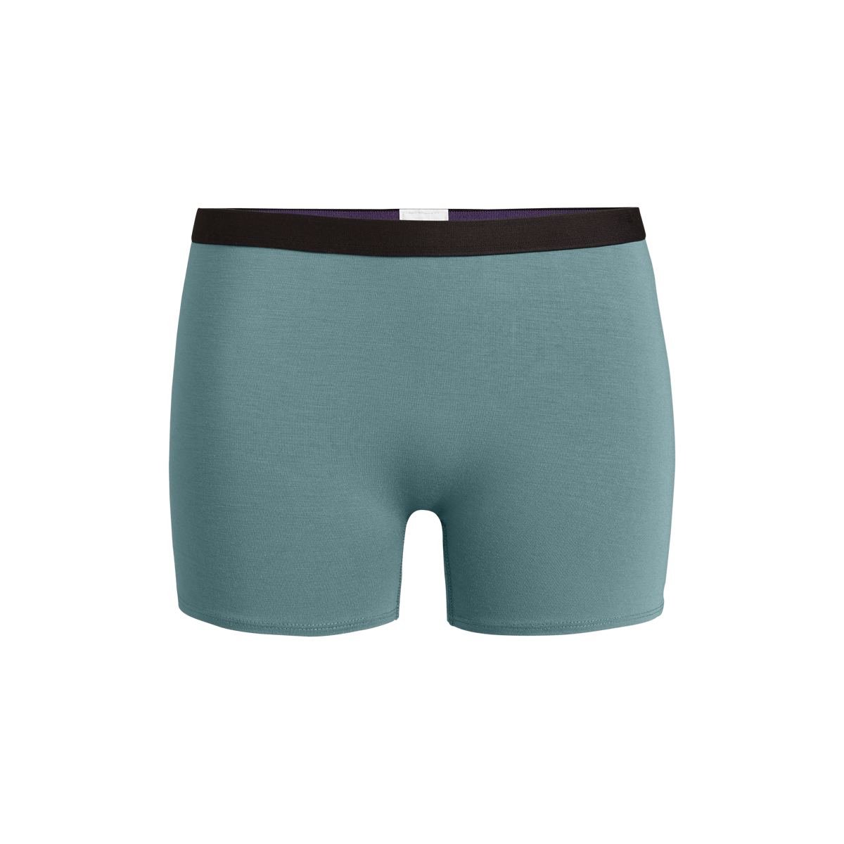 Boyshort | Goblin Blue