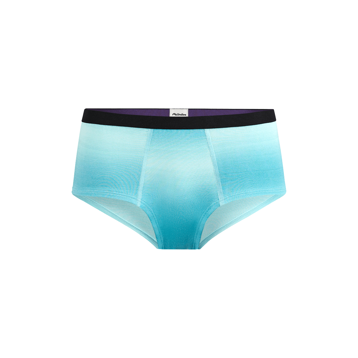 Cheeky Brief | Blue Ombre