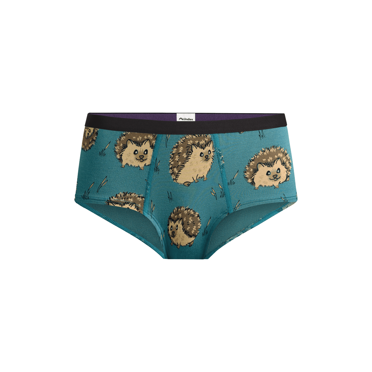 Cheeky Brief | Hedgehogs